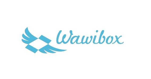 wawibox Logo