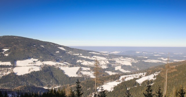 Die Deutsche Umweltstiftung setzt sich für mehr Umweltbewusstsein ein.